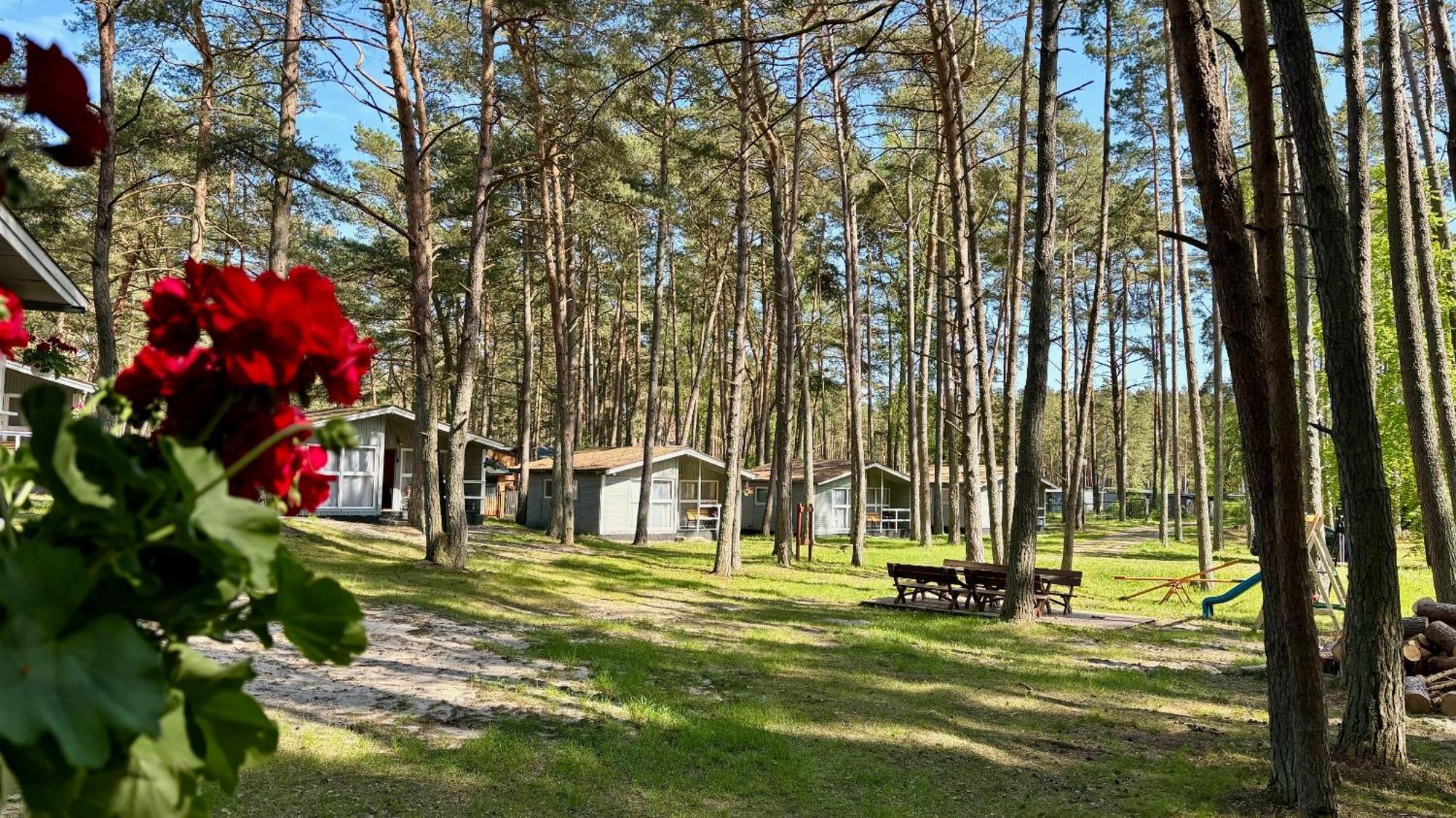 Lesna Przystan Villa Pobierowo Kültér fotó